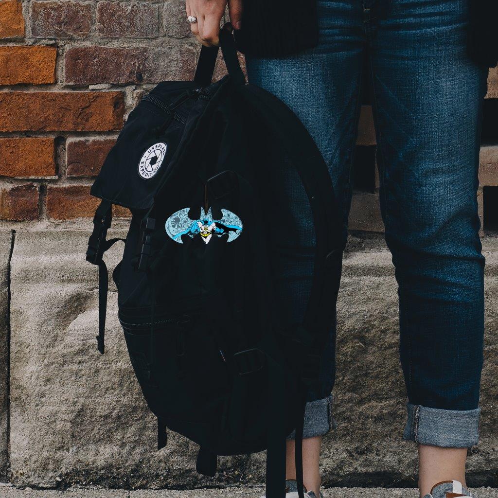 DC Comics (Batman Logo) Bat-Shaped Acrylic Print ACPBAT179